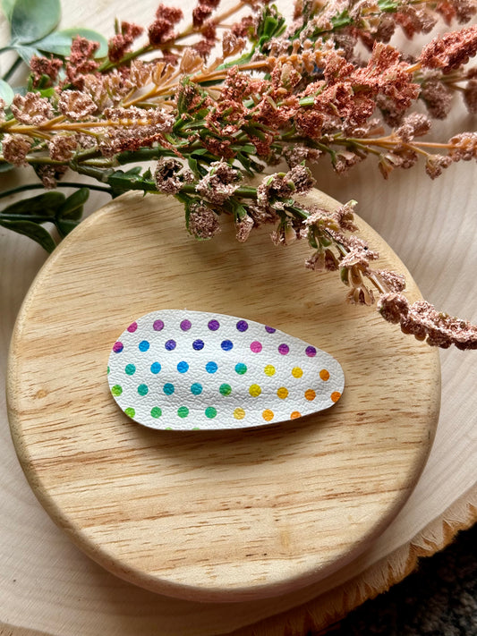 Single Rainbow Dot Clip